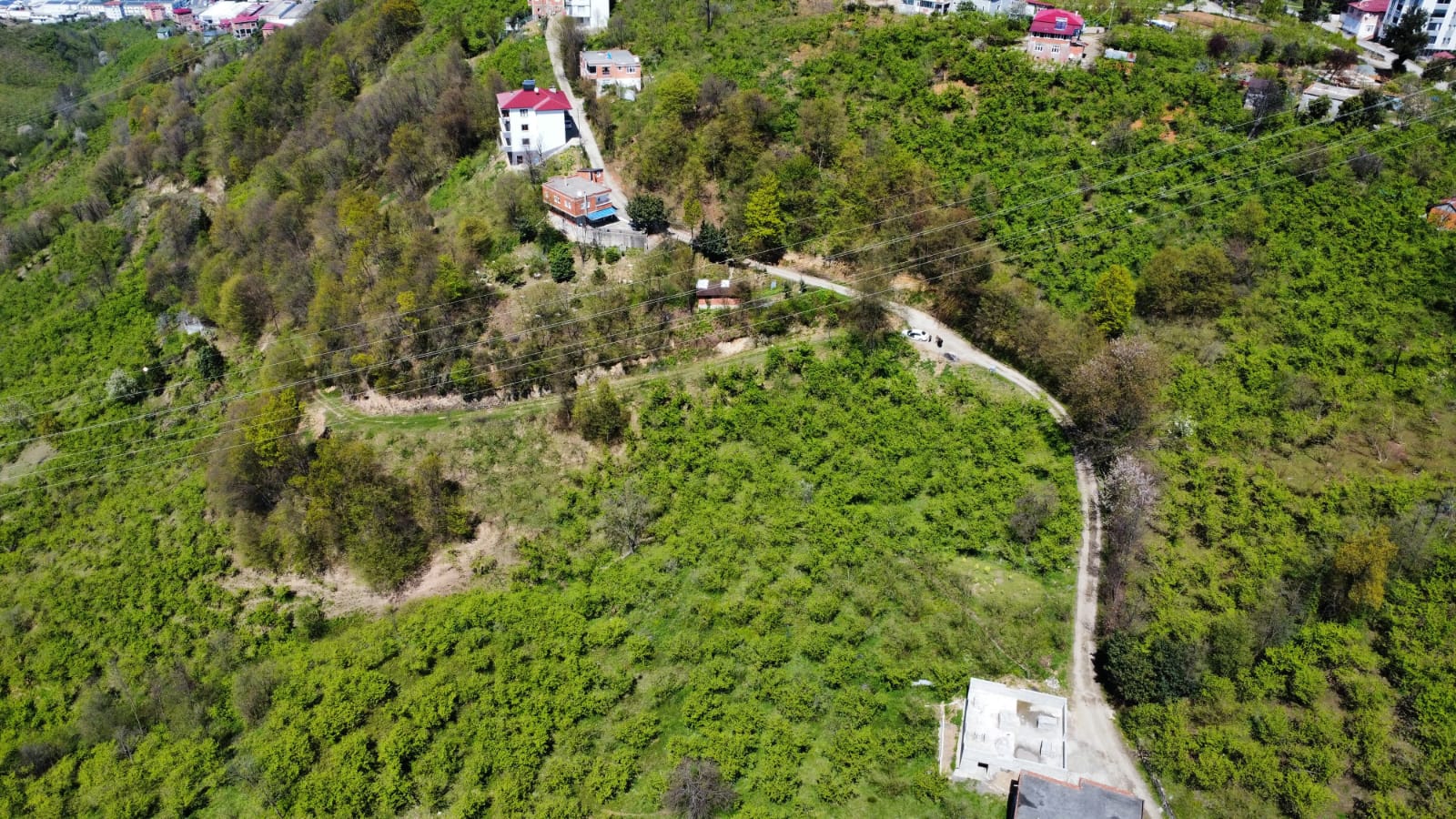 ARSİNDE YATIRIMLIK 2.8 DÖNÜM FINDIK BAHÇESİ